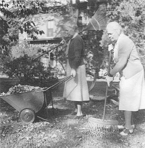 Raking photo