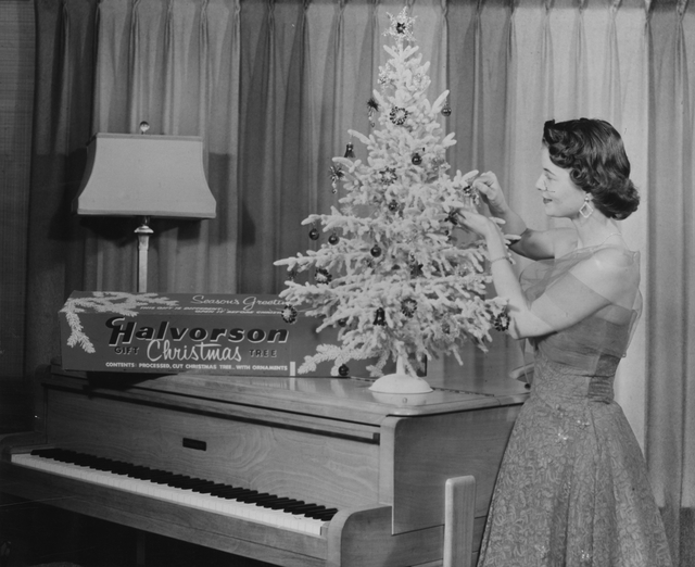Photo of tree on piano