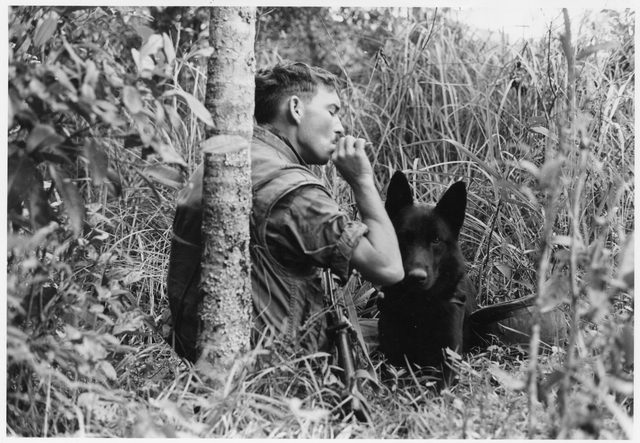 Soldier and dog in Vietnam