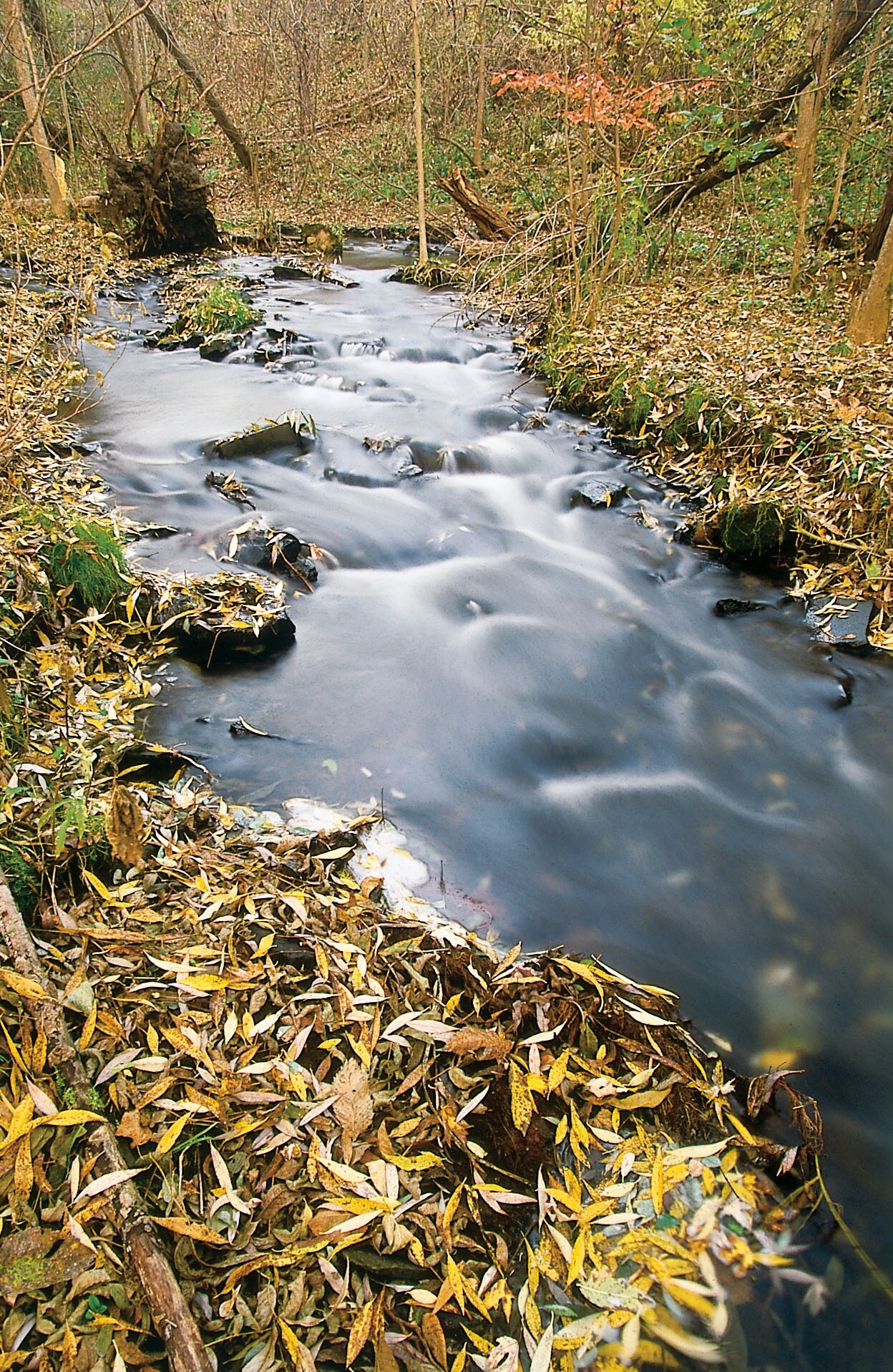 Mill City Museum Minnesota Historical Society Mill City Museum Minnesota Historical Society