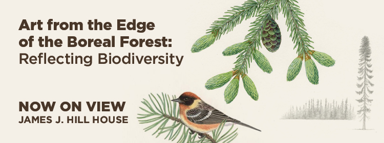 Art from the edge of the Boreal Forest exhibit, now on view, James J Hill House.