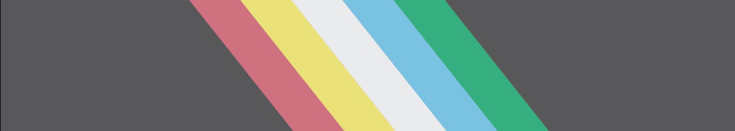 Disability Pride Flag banner.