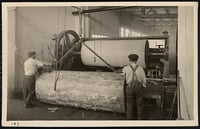 Workers inside a lumber mill operate a roller machine.