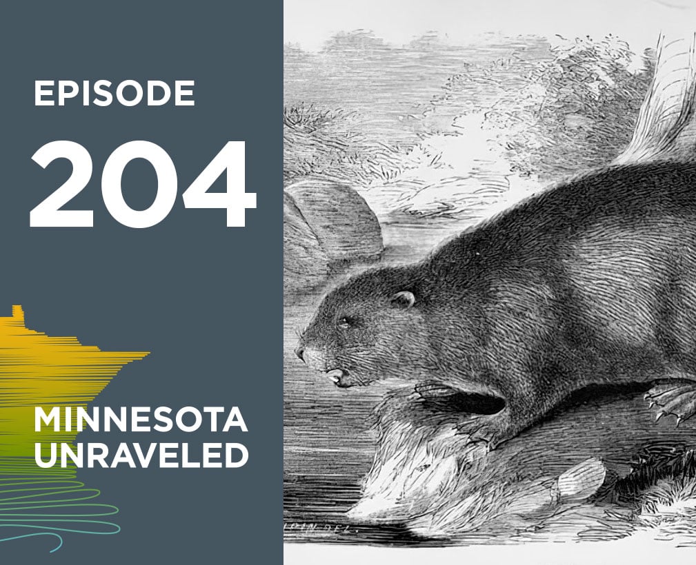Beaver Tales: From Minnesota’s Ice Age to Today (episode 204).