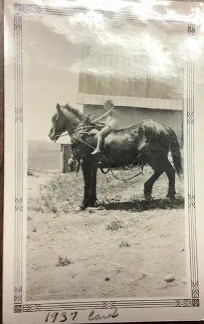 Small girl sitting on very large horse with barn in background