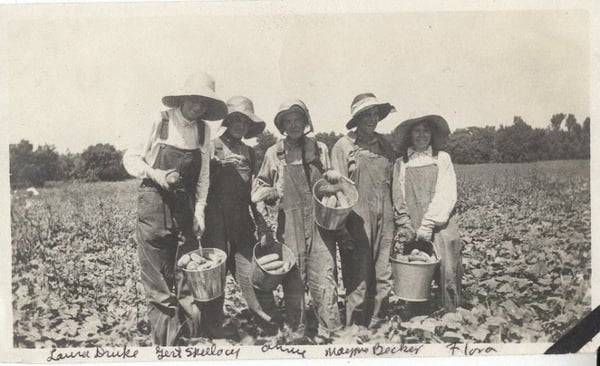 1924 photo of five women in bib overalls holding tin buckets filled with potatoes standing in a potato field.jpg