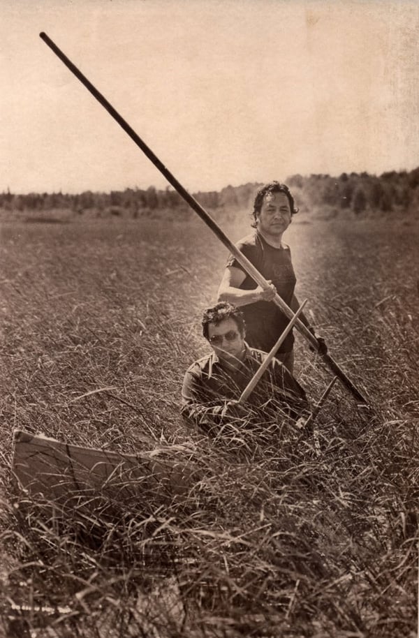 Two Native American men working their way through the rice beds during the annual harvest. ca. 1980