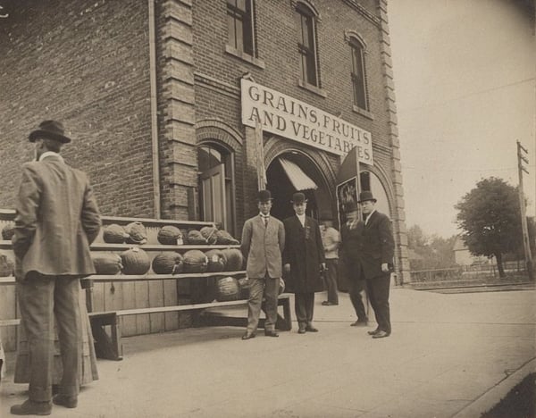 Fruits, Grains and vegetables Building