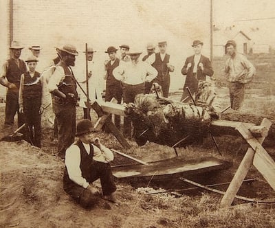 Van Spence roasting an ox, with a group of white and black men and boys looking on