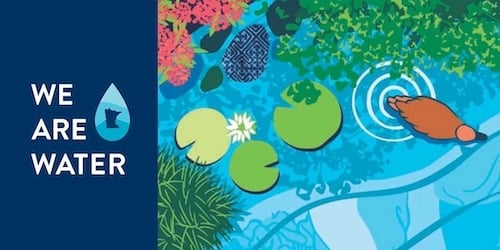 We are Water-illustration, top view looking down at duck and lily pad in pond