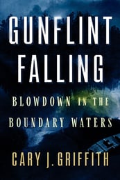 Cover of Gunflint Falling
