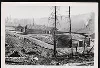 Logging camp with a mixed log-and-sod cabin behind logged and barely standing pine trees with more log cabins in the background.