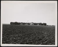 Black and white photograph of a farm in windbreak near Lamberton, Redwood County, 1936. Photograph by Napoleon Noel Nadeau.