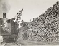 A railroad car sits on a track next to a stack of logs that extends into an obscured vanishing point at the lower left.
