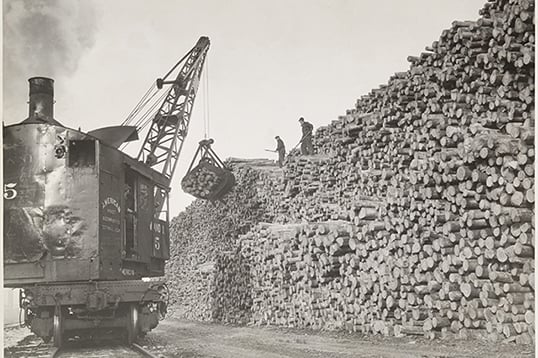 A railroad car sits on a track next to a stack of logs that extends into an obscured vanishing point at the lower left.