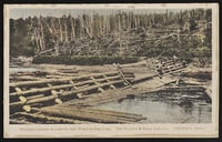 A dammed stream with logs and dam components covering most of the water. Leafless trees stand on the bank in the background.
