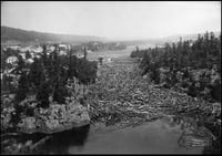 Bird's-eye view of a river passing through a channel choked by logs, with rocky outcrops and trees on either side.