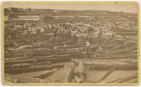 Laborers stand on logs floating in a river. The logs fill the river from the foreground to the shore in the background.