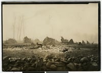 Piles of rocks sit close to the pictures plane. Behind them are more rocks and an ashy, barred landscape, with ghostly, leafless trees at center left.