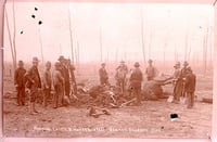 In a pink-toned image, men stand around the bodies of dead cows and horses, with charred earth around them and burned trees behind them.