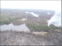 A bird's-eye view of a landscape shows areas charred by fire along a river, with unburned areas at center and at left. A plume of smoke rises from the ground at center right.