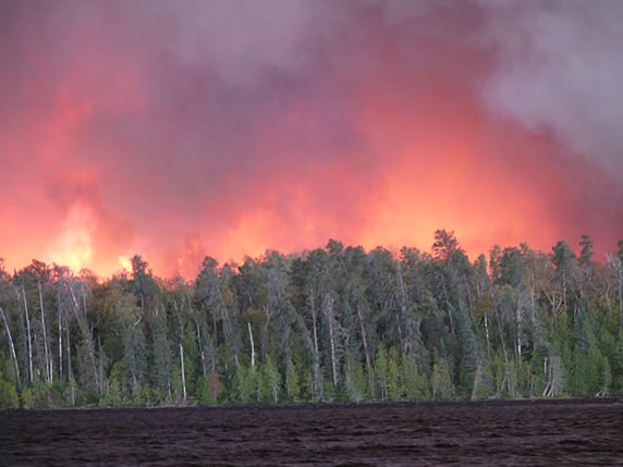 Flames and smoke rise above a mostly green treeline, with water in the foreground.