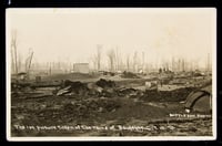 Indistinguishable, charred remains lie across a dirt landscape, with leafless trees in the background below a light-yellow sky.