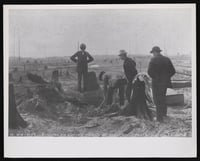 Four men wearing hats gathering around a hole in charred earth, with burnt tree stumps close to them as well as in the background.