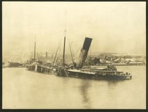 umn001606