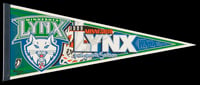 Triangular fabric against a black background. The fabric is blue, white, green, and red, and has the Lynx team logo.