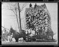 Logs piled on a wagon drawn by three horses. Men stand at the bottom of the load of logs and on top of it. 