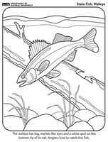 Black-and-white line drawing of a fish underwater swimming over a log.