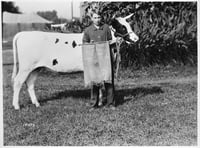 Black and white photograph of 4H Calf Club champion and his calf, 1923.