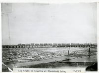 Minnesota and International Railway trestle bridge at Blackduck
