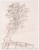 Color image of Witch Tree Variation drawing by George Morrison, 1982.