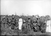 Incarcerated women posing by a cornfield