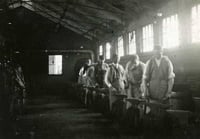 Black and white photograph of an Agriculture Extension, Short Course in Blacksmithing men at the forges, 1908.