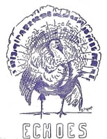 Cover art for Echoes