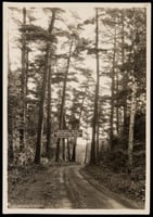 Road sign warning of “narrow, winding, hilly road, 25 miles per hour” along the Gunflint Trail. Photograph by R. O. Fletcher, ca. 1925.
