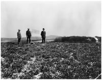 Site of the discovery of the Kensington Runestone