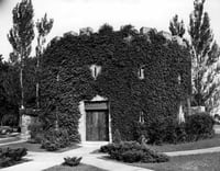 Black and white photograph of the he Round Tower covered in vegetation, c.1942. Photographed by Norton and Peel.