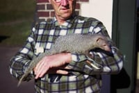 Photograph of Lloyd Hackl with Mr. Magoo the mongoose, 1963.
