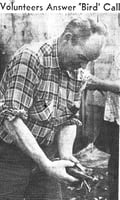Volunteers Answer Bird Call - Newspaper photograph of a man washing off a duck
