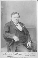 Black and white photograph of Ignatius Donnelly, 1888.