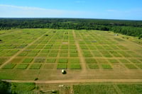 Aerial view of the BigBio project inside Cedar Creek Ecosystem Science Reserve.