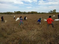 Students on a field trip to Cedar Creek Ecosystem Science Reserve