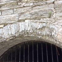 Color image of a Platteville limestone arch, Mill Ruins Park, Minneapolis, 2016. Photograph by Paul Nelson.