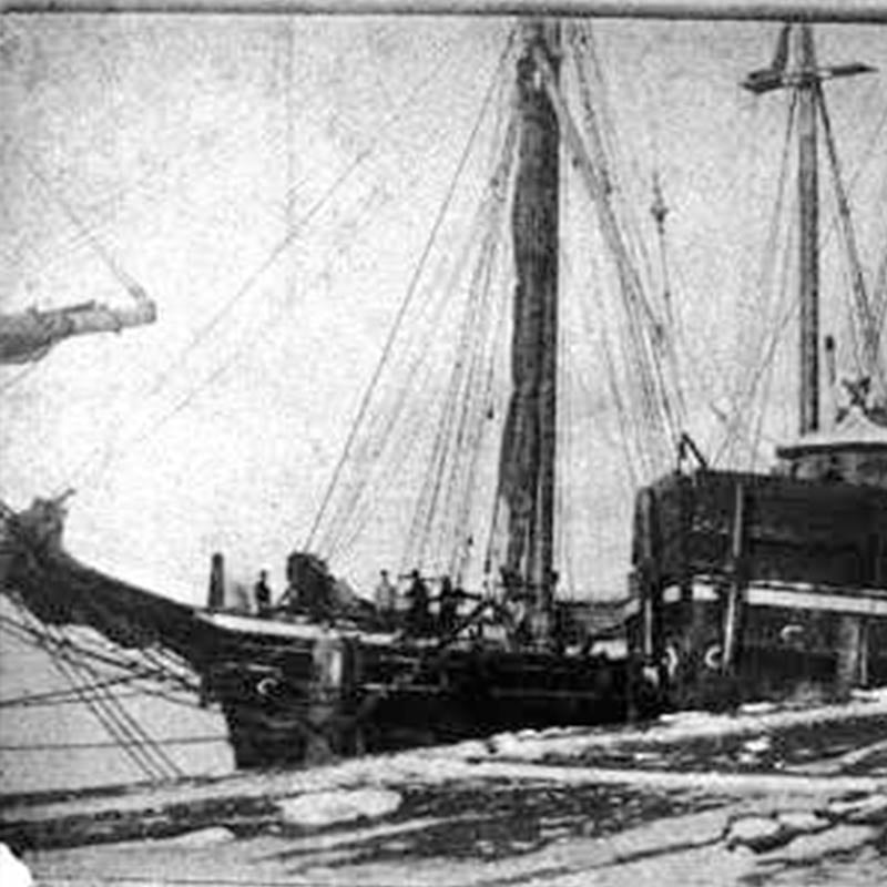 Learn about the Amboy shipwreck's history and significance
