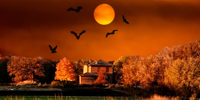 Halloween on the Farm.