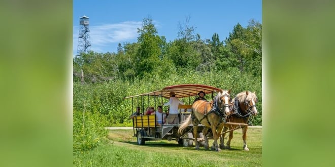 Horse-Drawn Forest History Tour.